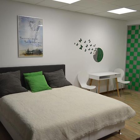 Apartamento Vasarely Luxury Flat Satu Mare Exterior foto